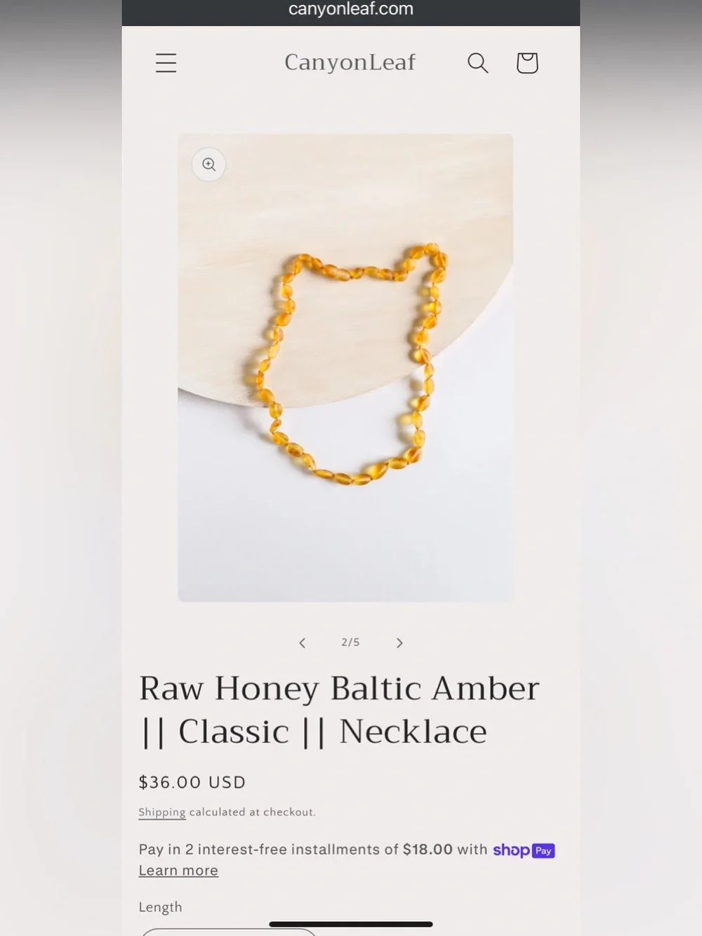 Raw Amber Canyon Leaf kids size necklace